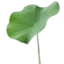 favicon de aambalanaikatti.in