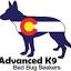 favicon di advancedk9bbs.com