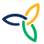favicon di agingenieria.com.pe