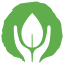 favicon de aleh.org