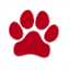 favicon de animalsex.video