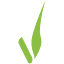 favicon de anove.es