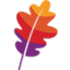 favicon de apache.org