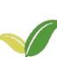 favicon de ashateacompany.com
