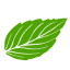 favicon de bamirpack.live