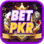 betpkr.com-Favicon
