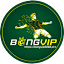 favicon di bongvip8888.pro