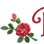 favicon de brandyhearn.com