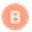 brighceth.shop-Favicon