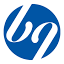 favicon di brinegroup.com