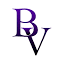favicon bv-motorsport.ch