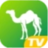 camel1.tv-Favicon