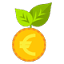 favicon di capital-turn.com