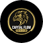 capitalflowtrader.com-Favicon