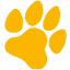 caredogbest.com-Favicon