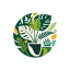 careleafify.com favicon