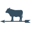 ccdarien.org-Favicon