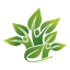 favicon de cedrosolucaoambiental.com.br