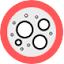 favicon di celltechdiscovery.com
