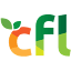 favicon di cflroof.com