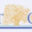 favicon de charlestondentistry.com
