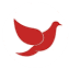cheneyfirstag.com-Favicon