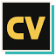 choicervoicer.games favicon