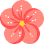 favicon de cinebloom.cc