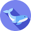 favicon cinewhale.cc