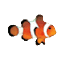 favicon clownfish-translator.com