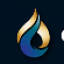 coachology.com favicon