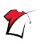 favicon di customjerseys.co.uk