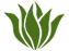 customlogoturf.com-Favicon
