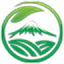 dasshu.vn favicon