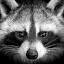 favicon de daveanderton.net
