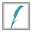 favicon di discoveryhomes.com