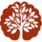 drleonardomoreira.com.br-Favicon