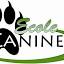 favicon de ecolecanine.fr