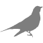 favicon de entrepampaybosque.com