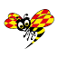 expressen.se-Favicon