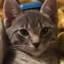finobe.net-Favicon