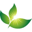 firstlighthomecare.com-Favicon