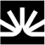favicon fullstory.com