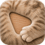 fureverdock.com-Favicon