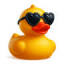 gleaningduckpluck.raceaduck.com-Favicon