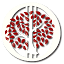 favicon de ilgrandeinverno.it