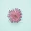 favicon irozuku.org
