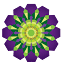 favicon de iwaa.org.au