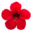 favicon de kateelife.com