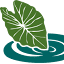 favicon kawaiola.news